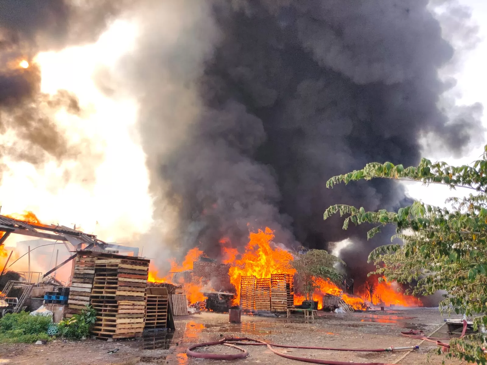 Diduga Percikan Kembang Api Perayaan Tahun Baru, 12 Gudang Terbakar