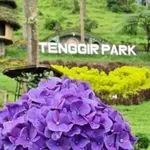 Tenggir Park, Destinasi Wisata di Lereng Gunung Lawu yang Cocok untuk Healing, Bikin Betah Berlama-Lama di Sini!