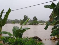Banjir Terjang Luwu Sulsel, 14 Orang Meninggal Dunia