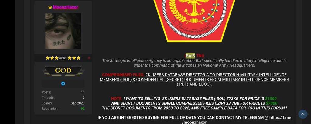 Dicurigai Data Bais TNI yang Diretas Bukan Ulah Hacker